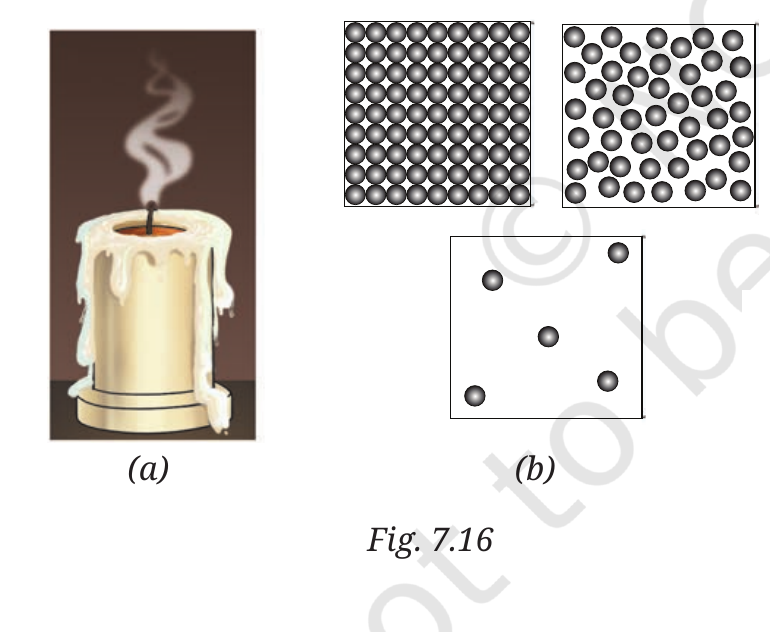 Fig.&nbsp;7.16, NCERT Curiosity Class 8 Science, Chapter 7.