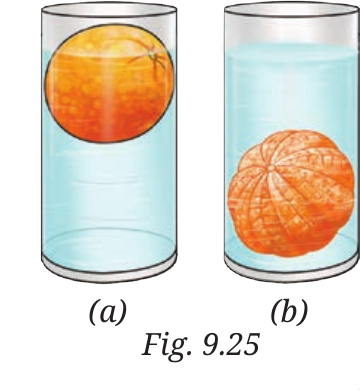 NCERT Curiosity Class 8 Science, Chapter 9, Fig.&nbsp;9.25.