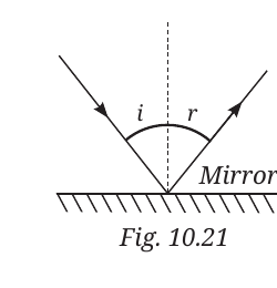 NCERT Curiosity Class 8 Science, Chapter 10, Fig. 10.21.