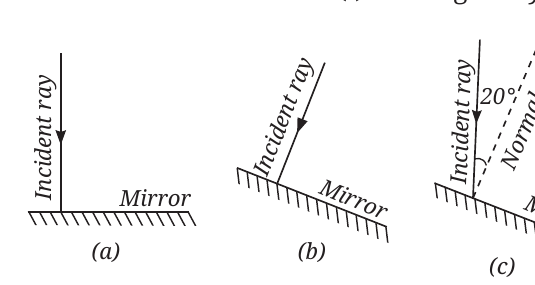 NCERT Curiosity Class 8 Science, Chapter 10, Fig. 10.22.