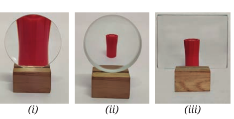 NCERT Curiosity Class 8 Science, Chapter 10, Fig. 10.24.