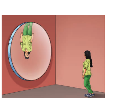 NCERT Curiosity Class 8 Science, Chapter 10, Fig. 10.26.