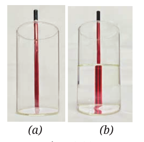 NCERT Curiosity Class 8 Science, Chapter 10, Fig. 10.28.