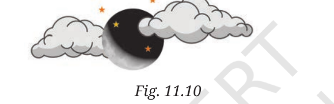 NCERT Curiosity Class 8 Science, Chapter 11, Fig. 11.10.