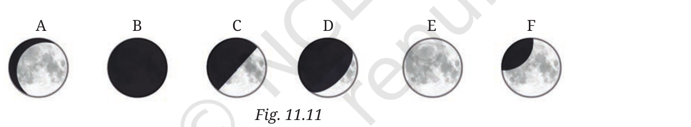 NCERT Curiosity Class 8 Science, Chapter 11, Fig. 11.11.
