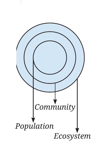 NCERT Curiosity Class 8 Science, Chapter 12, Fig. 12.19.