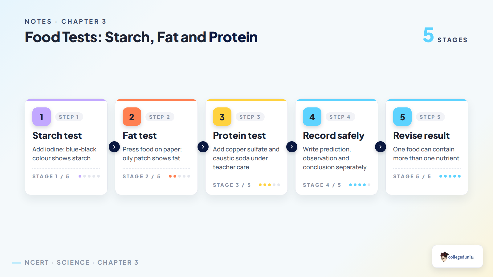 Food tests for starch fat and protein in Class 6 Science notes