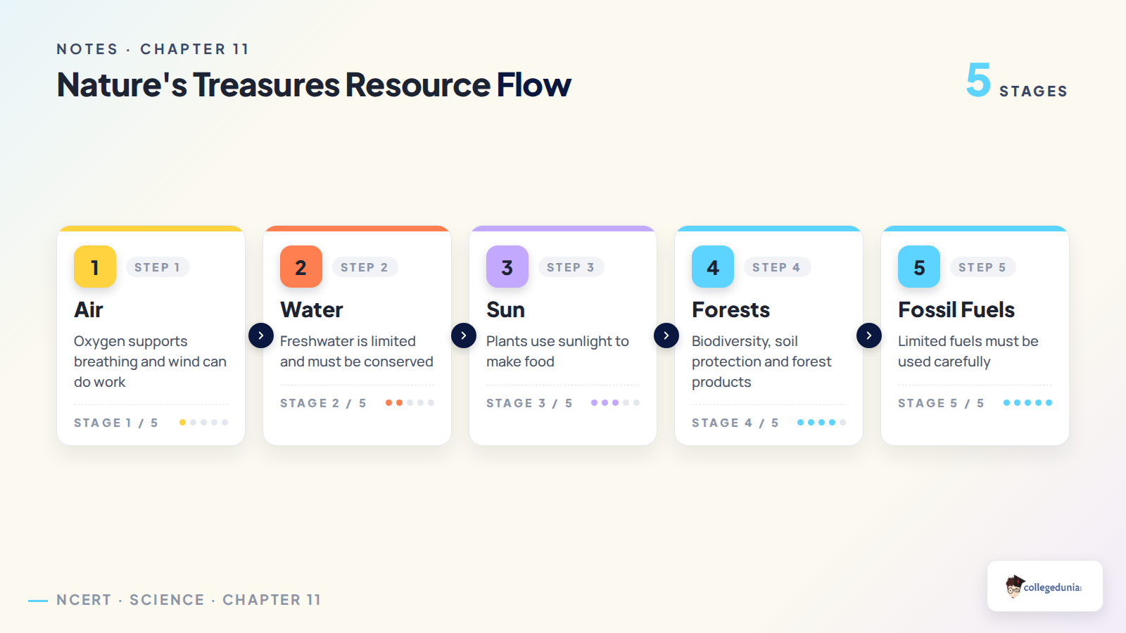 Nature's Treasures resource flow for Class 6 Science notes