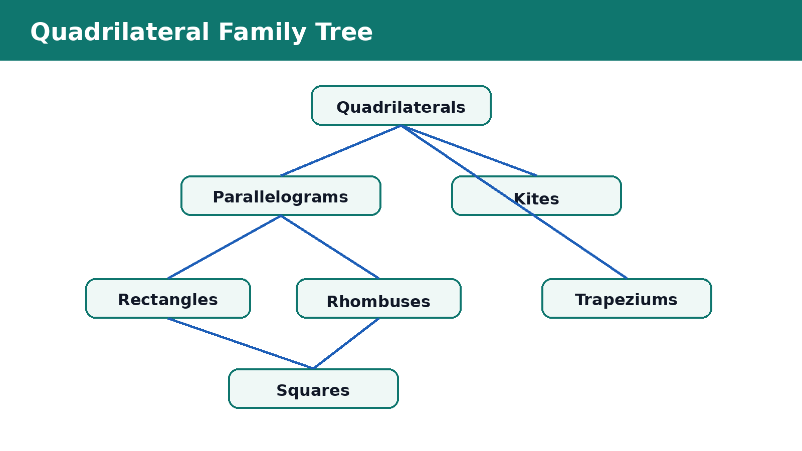 Quadrilateral family tree for Class 8 Maths