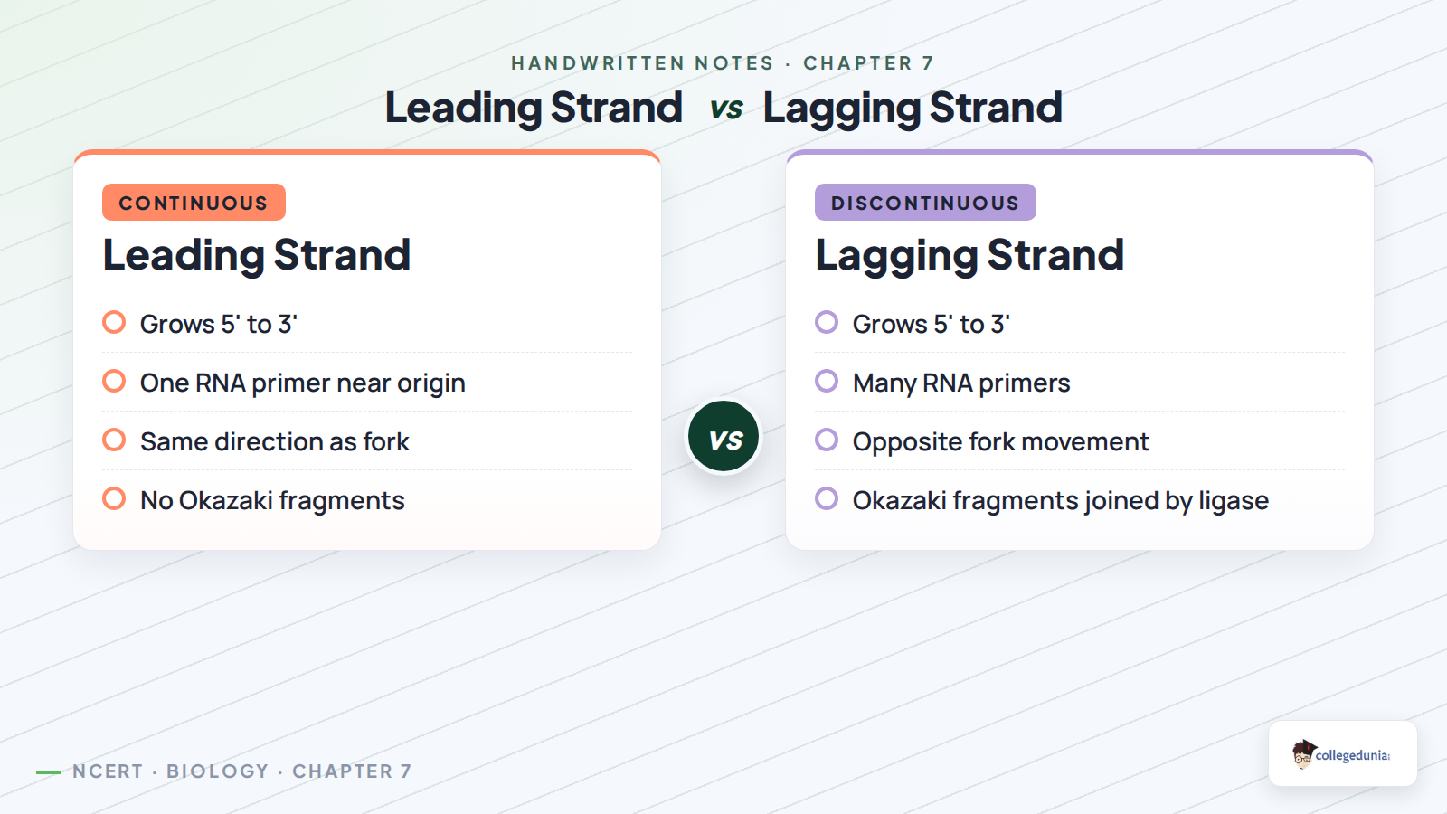 Leading strand and lagging strand comparison in DNA replication