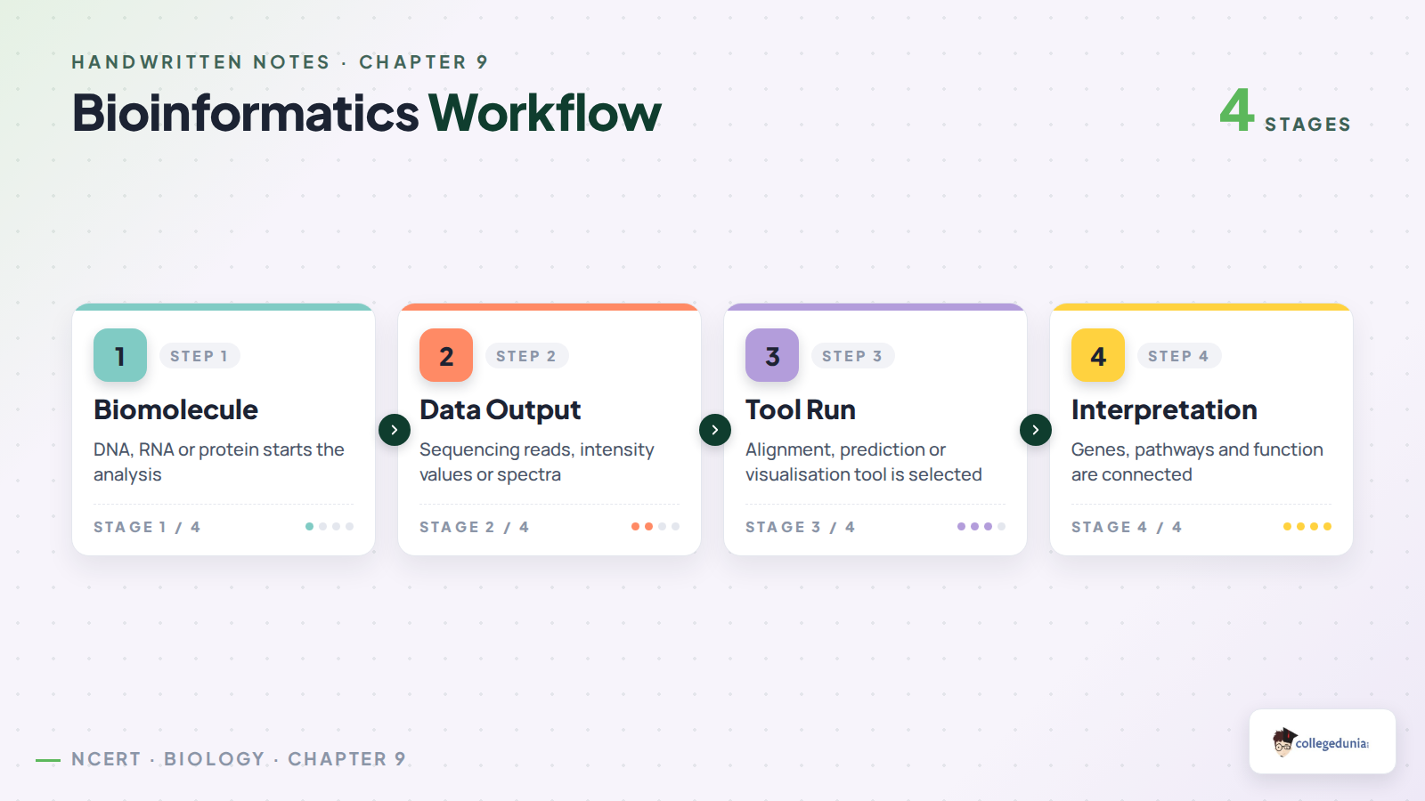 Bioinformatics workflow from biomolecule to biological function