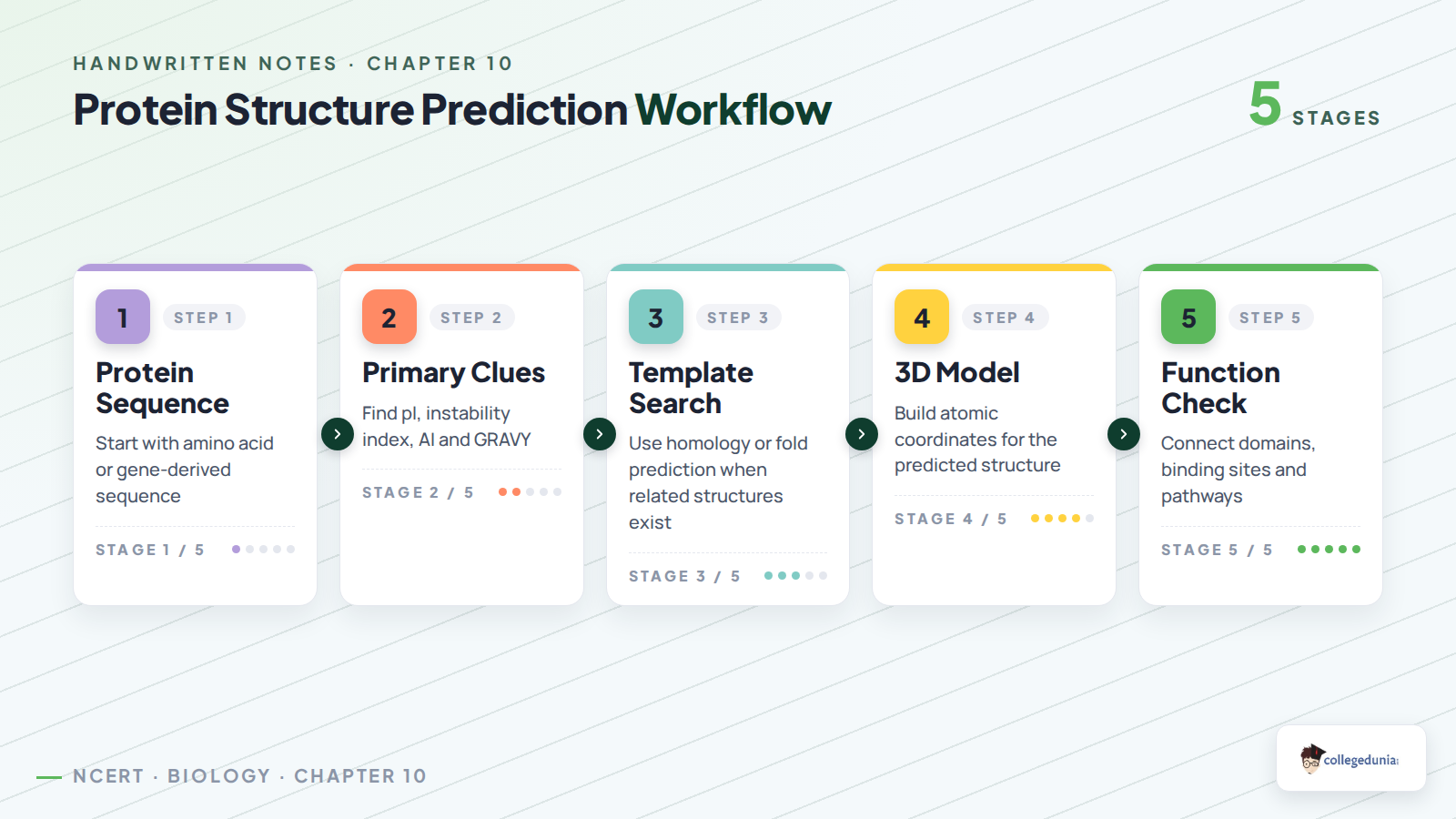 Protein structure prediction workflow for Class 11 Biotechnology Chapter 10