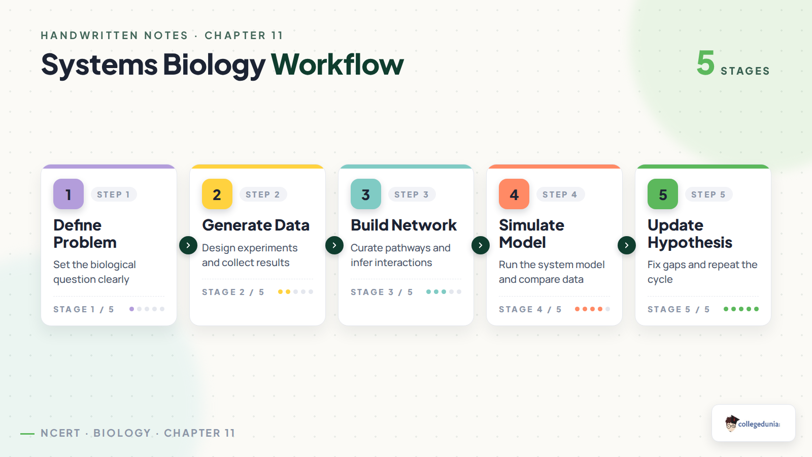 Systems biology workflow for Class 11 Biotechnology Chapter 11