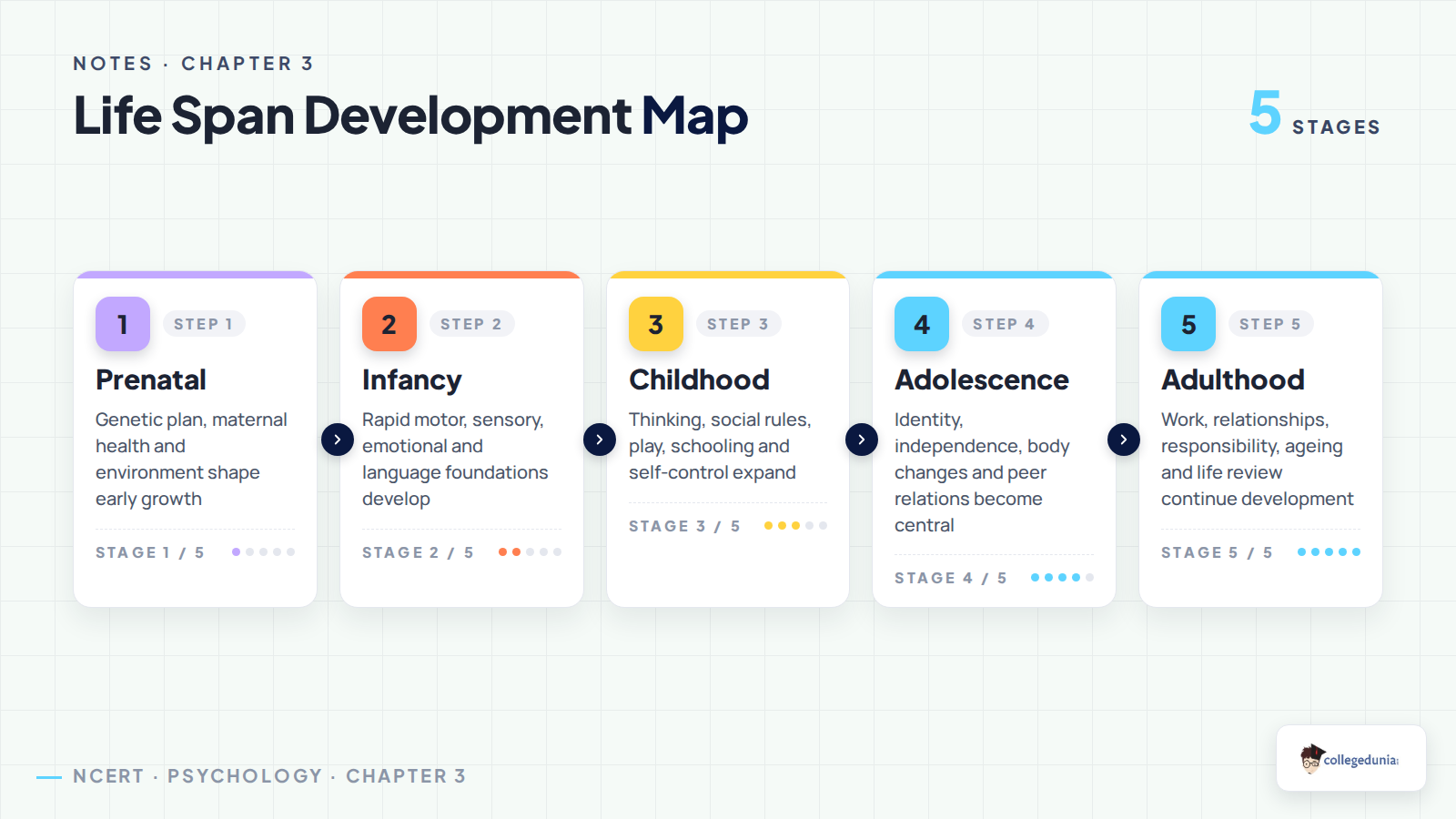 Life span development stages in Class 11 Psychology