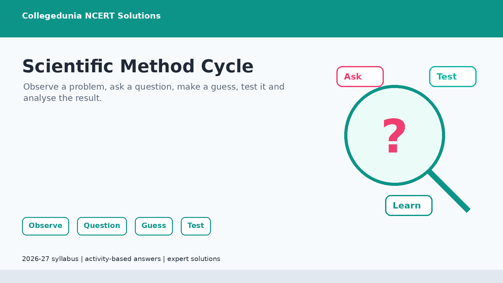 Scientific method cycle for Class 6 Science Chapter 1