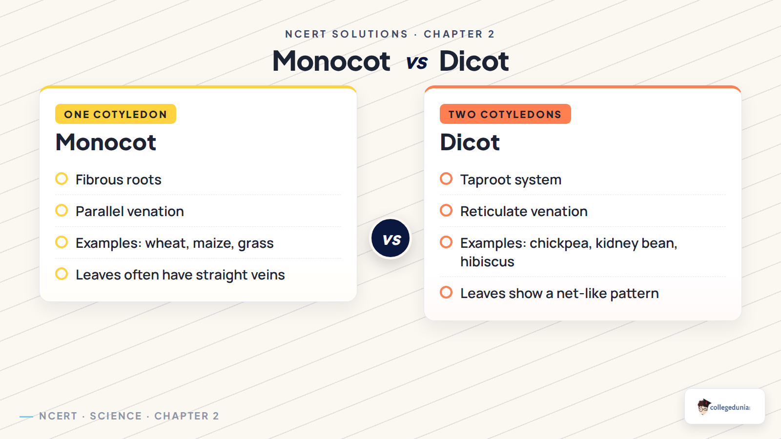 Monocot and dicot plant clues for Class 6 Science Chapter 2