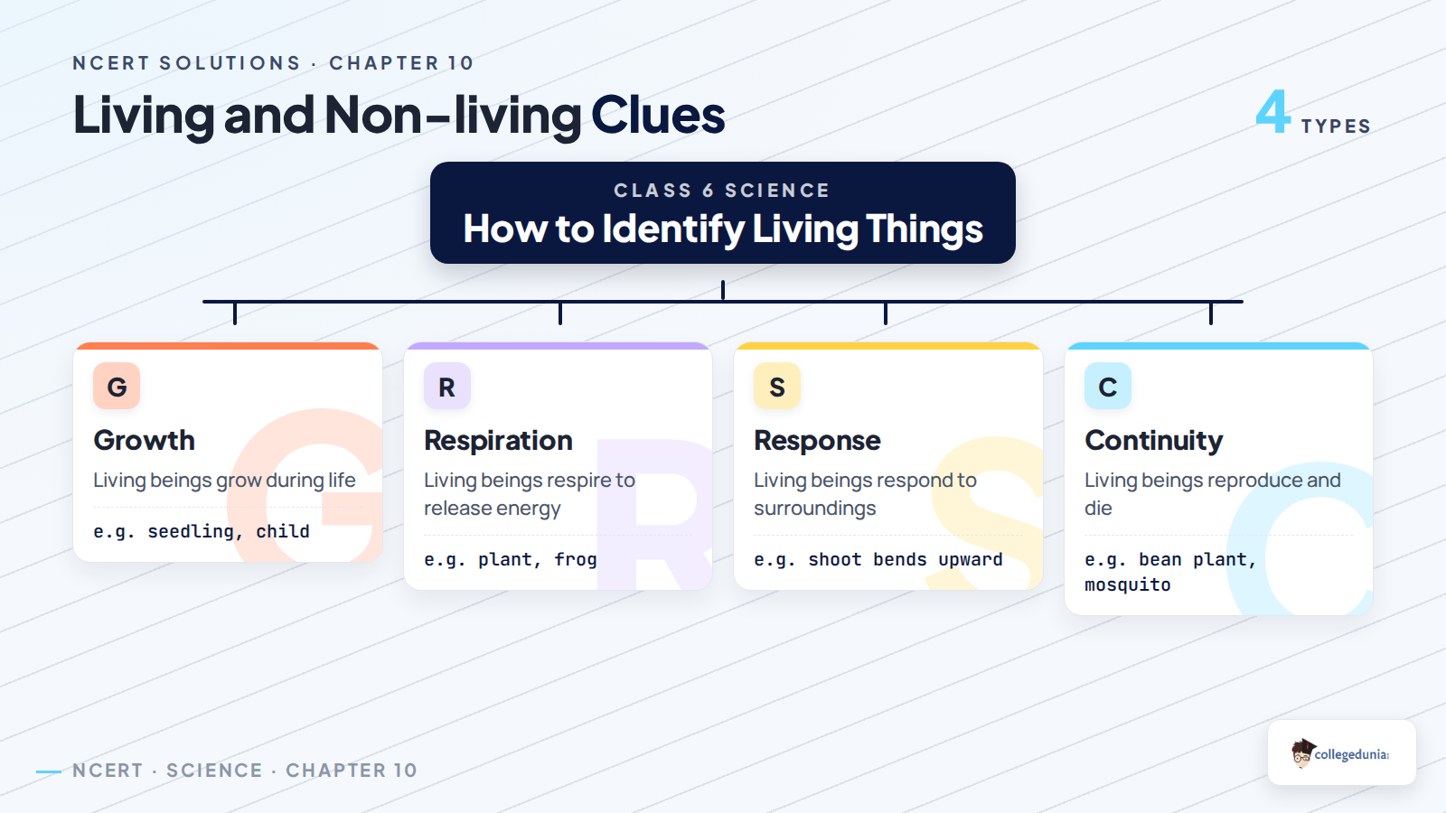 Living and non-living clues for Class 6 Science Chapter 10