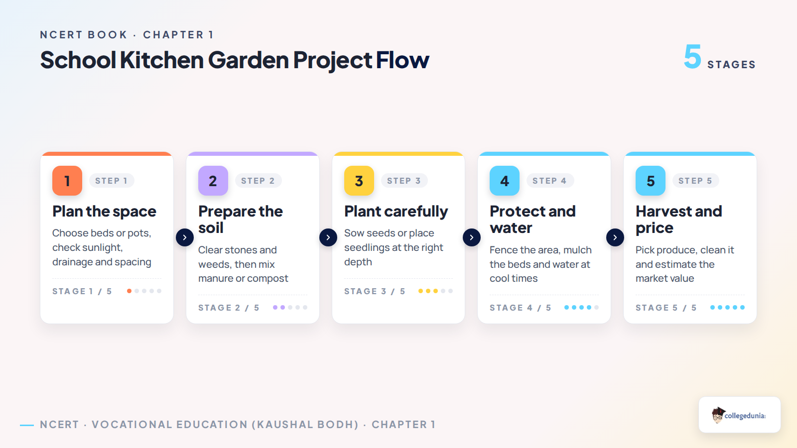 School kitchen garden project flow from planning to harvest