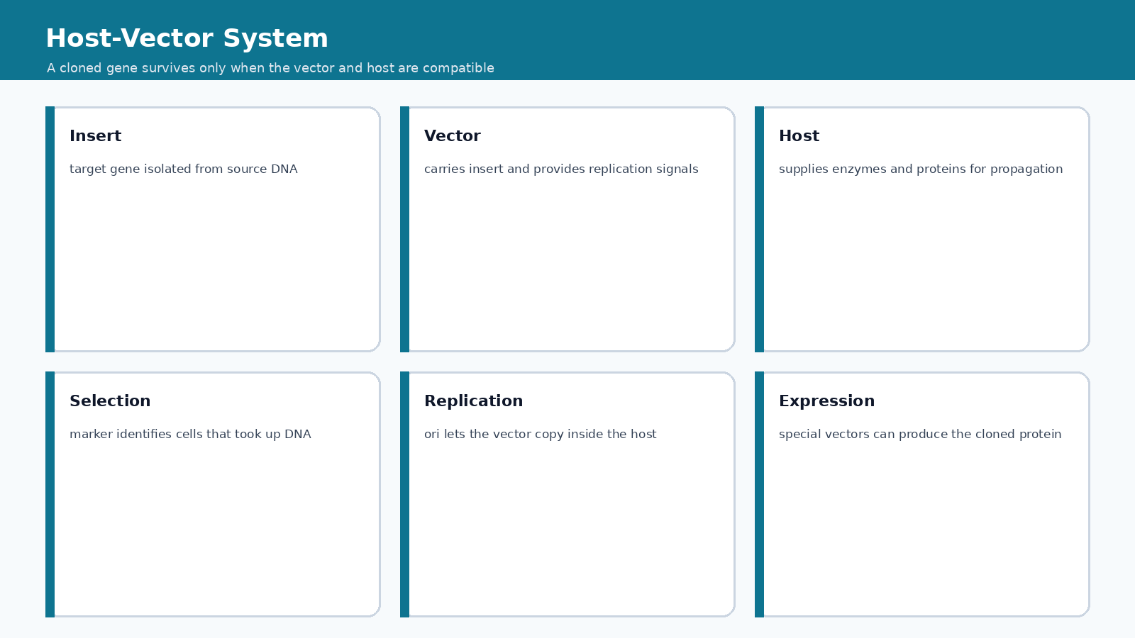 Host vector system flow with insert vector host selection replication and expression