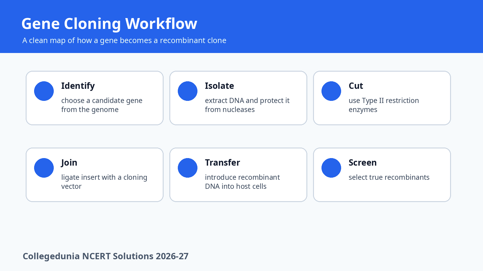 Gene cloning workflow from candidate gene to recombinant screening