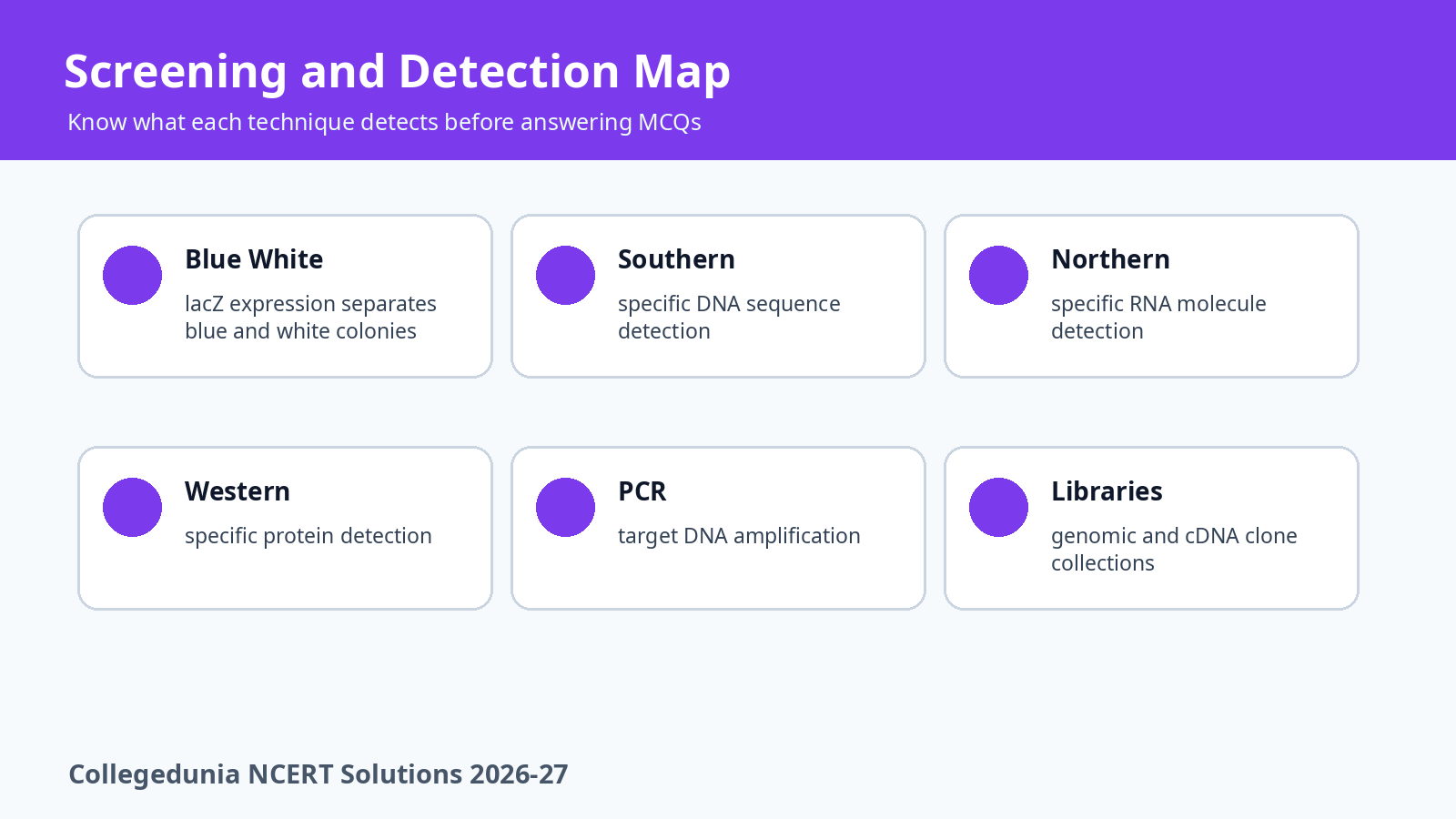 Southern Northern Western blotting PCR and DNA library revision map