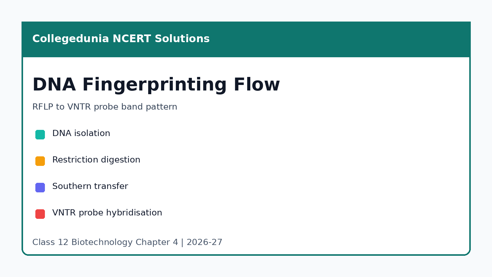 DNA fingerprinting RFLP VNTR Southern hybridisation revision map