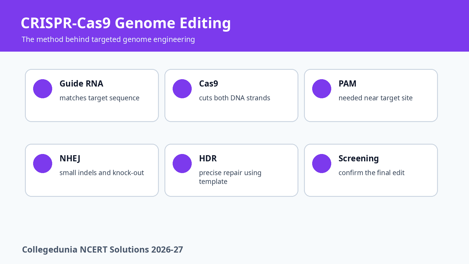 CRISPR Cas9 genome editing guide RNA Cas9 NHEJ and HDR