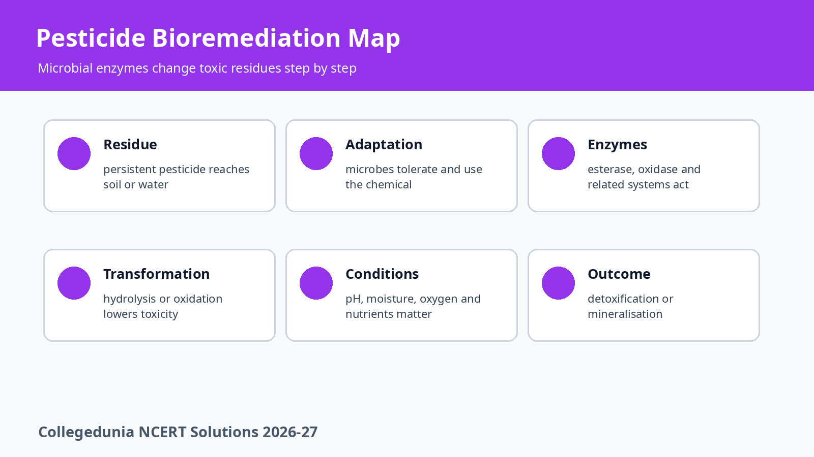 Microbial pesticide bioremediation map for Class 12 Biotechnology