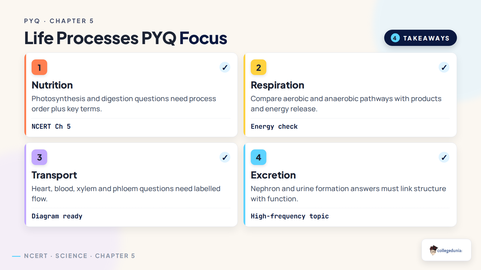 Life Processes PYQ focus map for Class 10 Science