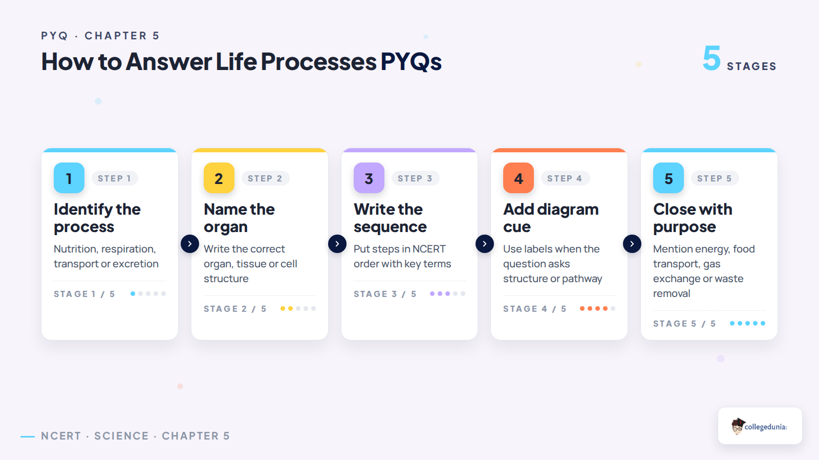 Answer map for Life Processes PYQ questions
