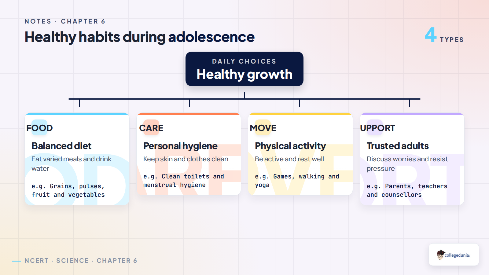 Four groups of healthy habits during adolescence: food, care, movement and support