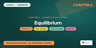 NCERT Exemplar Solutions Class 11 Chemistry Chapter 6 Equilibrium PDF