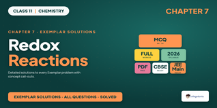 NCERT Exemplar Solutions Class 11 Chemistry Chapter 7 Redox Reactions PDF