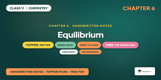 Class 11 Chemistry Chapter 6 Equilibrium Handwritten Notes PDF