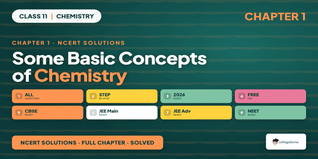 NCERT Solutions Class 11 Chemistry Chapter 1 Some Basic Concepts of Chemistry PDF