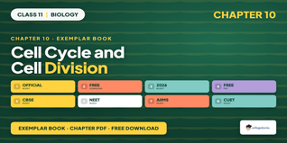 NCERT Exemplar Book PDF Class 11 Biology Chapter 10 Cell Cycle and Cell Division