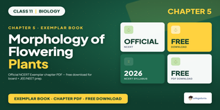 NCERT Exemplar Book PDF Class 11 Biology Chapter 5 Morphology of Flowering Plants