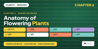 NCERT Exemplar Book PDF Class 11 Biology Chapter 6 Anatomy of Flowering Plants