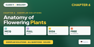 NCERT Exemplar Solutions Class 11 Biology Chapter 6 Anatomy of Flowering Plants