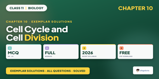 NCERT Exemplar Solutions Class 11 Biology Chapter 10 Cell Cycle and Cell Division