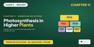 NCERT Exemplar Solutions Class 11 Biology Chapter 11 Photosynthesis in Higher Plants