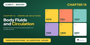 NCERT Exemplar Solutions Class 11 Biology Chapter 15 Body Fluids and Circulation