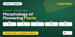 NCERT Formula Sheet Class 11 Biology Chapter 5 Morphology of Flowering Plants