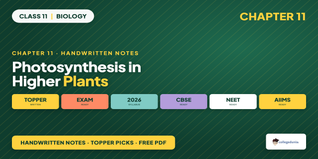 NCERT Handwritten Notes Class 11 Biology Chapter 11 Photosynthesis in Higher Plants