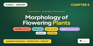 NCERT Handwritten Notes Class 11 Biology Chapter 5 Morphology of Flowering Plants