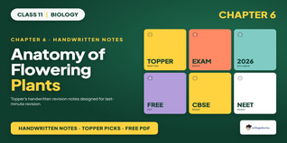 NCERT Handwritten Notes Class 11 Biology Chapter 6 Anatomy of Flowering Plants