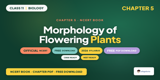 NCERT NCERT Book PDF Class 11 Biology Chapter 5 Morphology of Flowering Plants