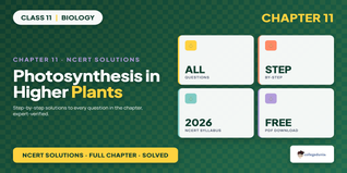 NCERT NCERT Solutions Class 11 Biology Chapter 11 Photosynthesis in Higher Plants