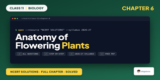 NCERT NCERT Solutions Class 11 Biology Chapter 6 Anatomy of Flowering Plants
