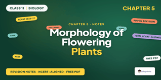 NCERT Notes Class 11 Biology Chapter 5 Morphology of Flowering Plants